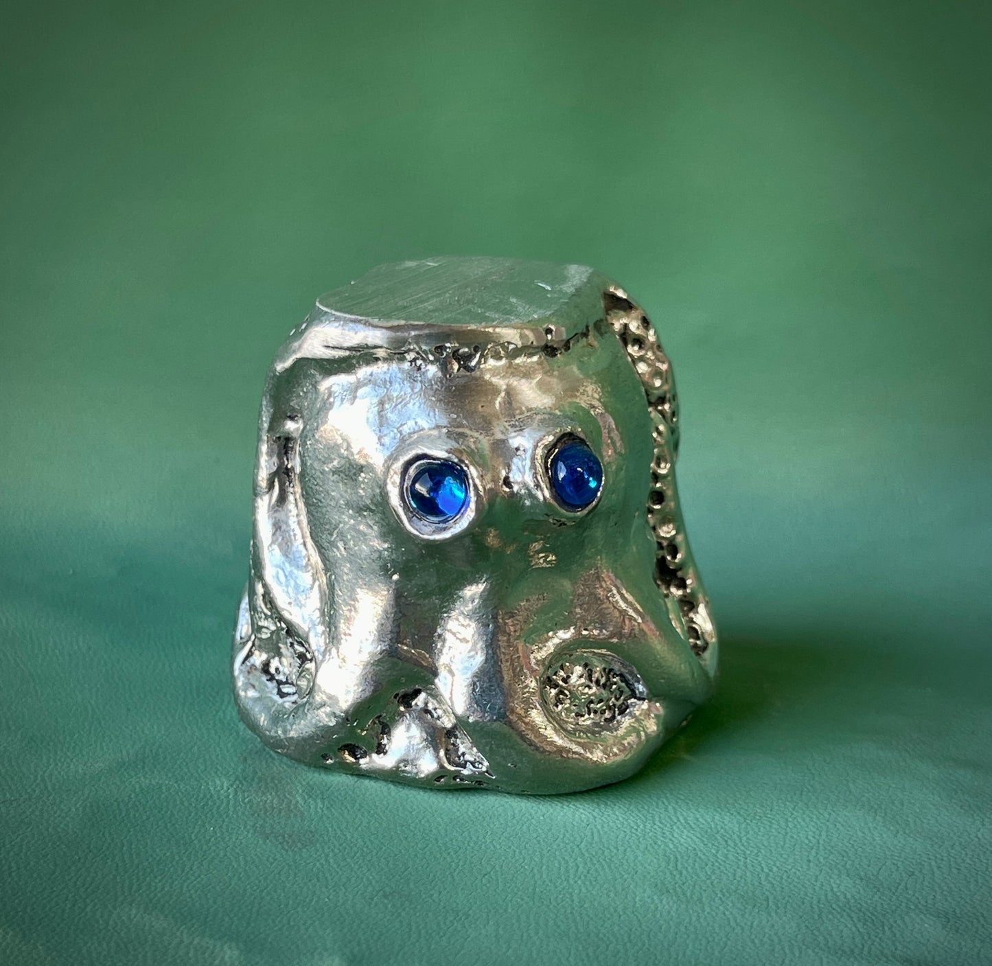 Octopus shot